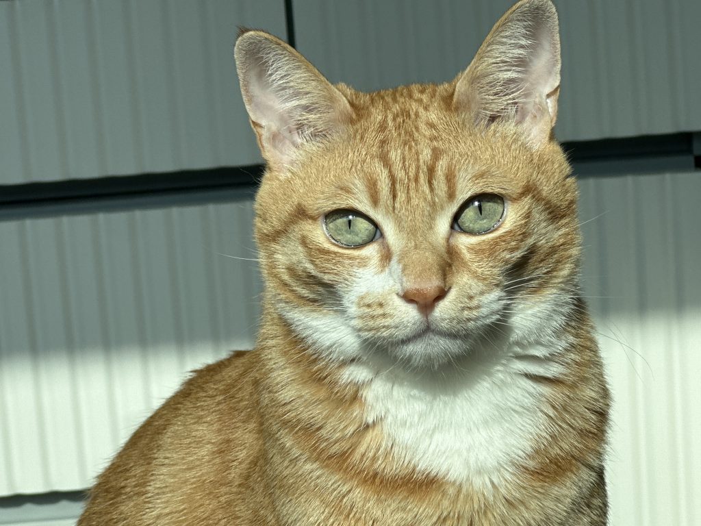 Image #1 from 예지